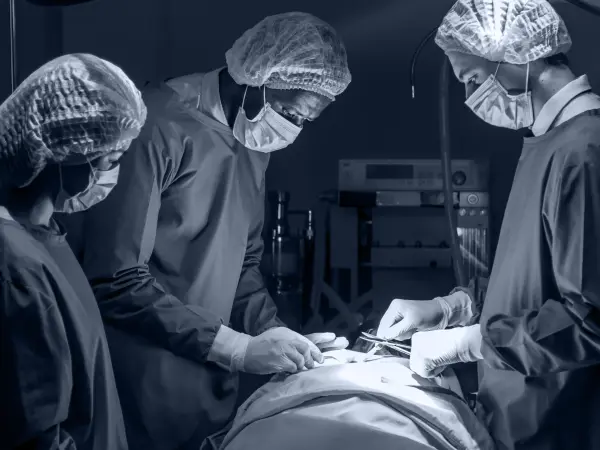 Transplant donor